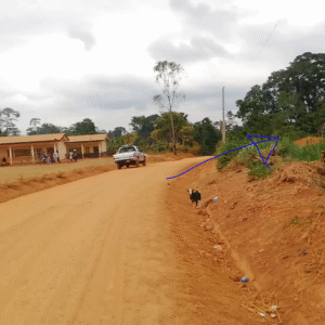 Terrain titré situé à Elendé derrière Nsymalen